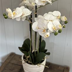 Large Artificial Phalaenopsis Orchid