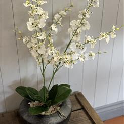 Artificial Dancing Lady Orchid