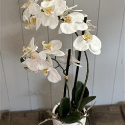 Standard Artificial Phalaenopsis Orchid