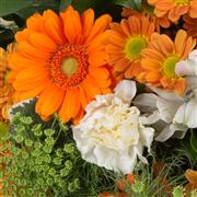 Deacons Choice Posy Arrangement