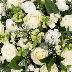 The Deacons Choice Hand-Tied in Water
