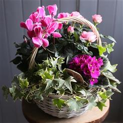The &#39;In The Pink&#39; Garden