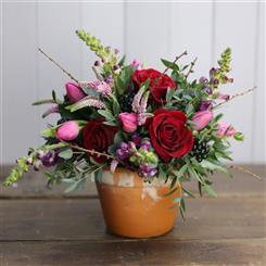 The Potting Shed Arrangement
