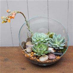 The Man Cave Planter