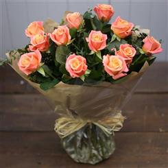 The Coral Rose Garden