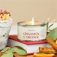 Pintail Cinnamon and Orange